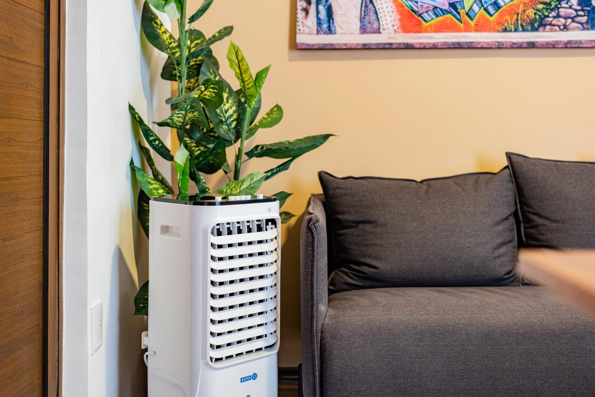 Apartment Santa Ma La Ribera Lofts By Vh Mexico City