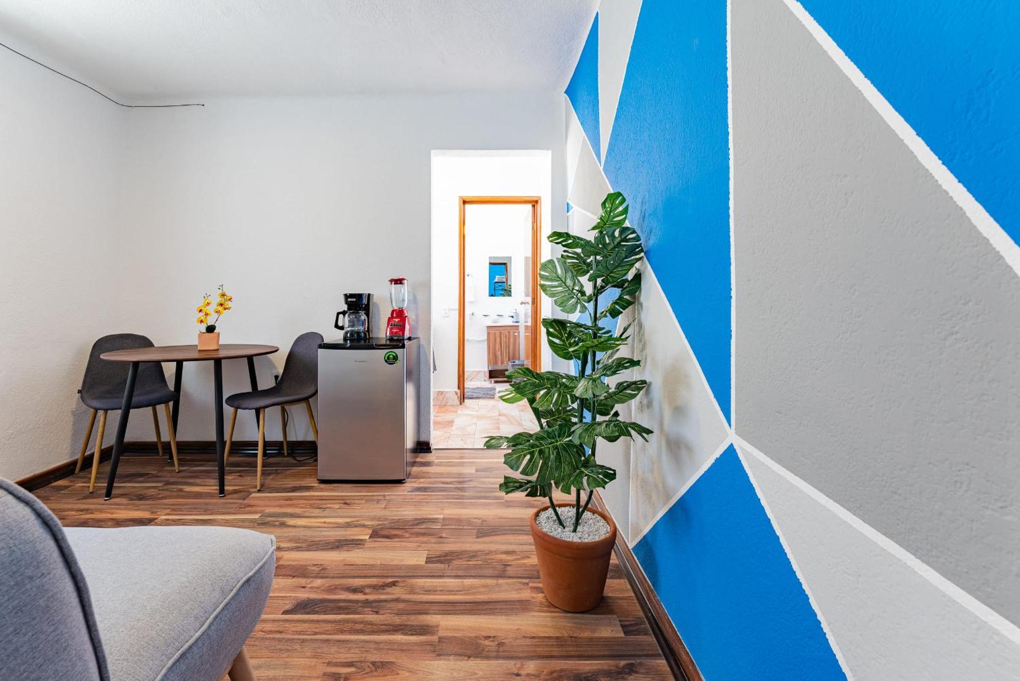 Santa Ma La Ribera Lofts By Vh * Mexico City
